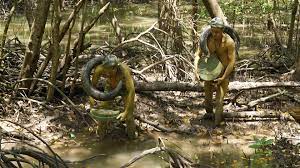 160 nghìn ha rừng ngập mặn ở Nam Bộ bị rải chất độc da cam/dioxin