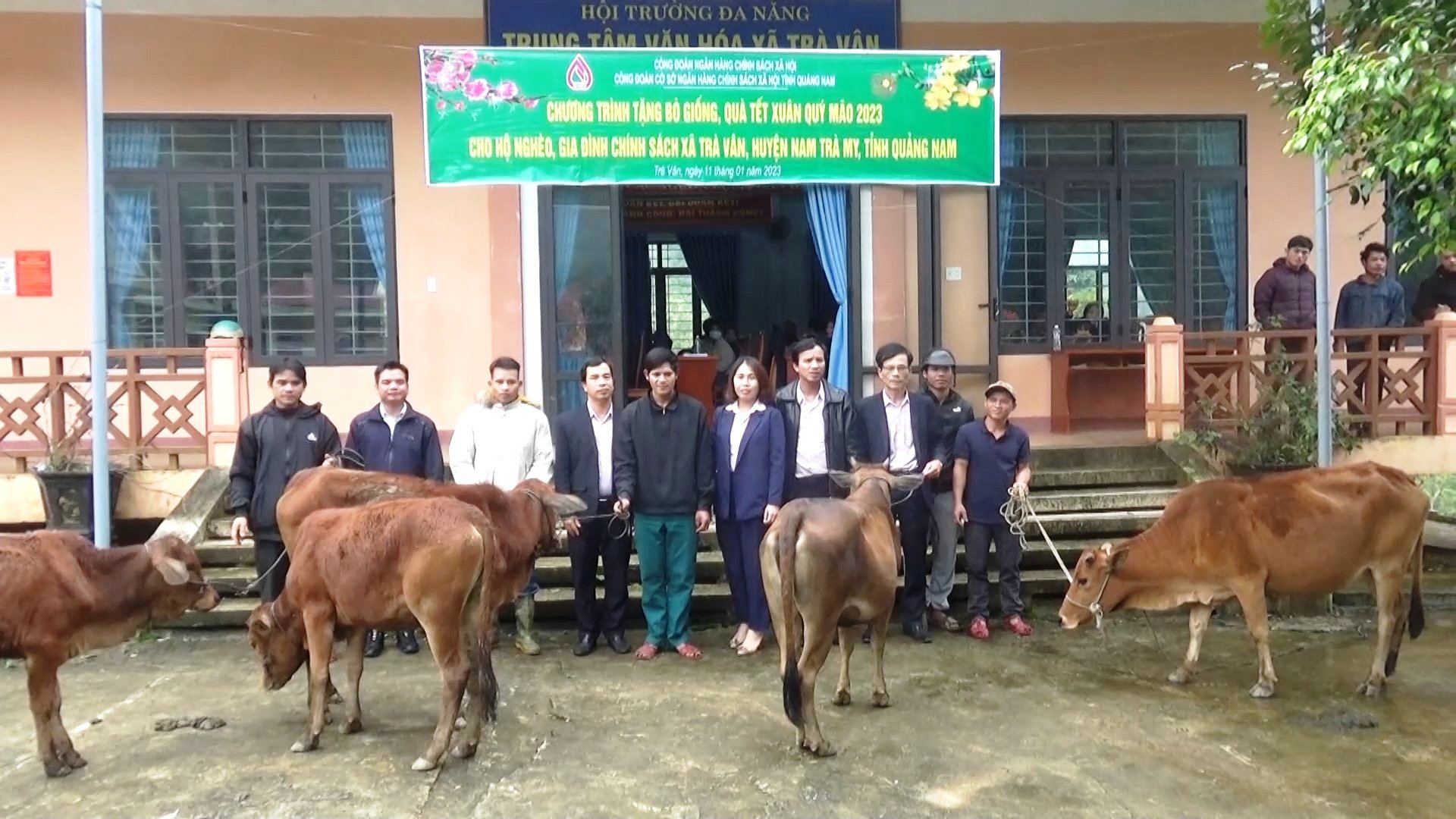 Ngân hàng CSXH tỉnh tặng bò cho hộ nghèo tại xã Trà Vân (Nam Trà My)